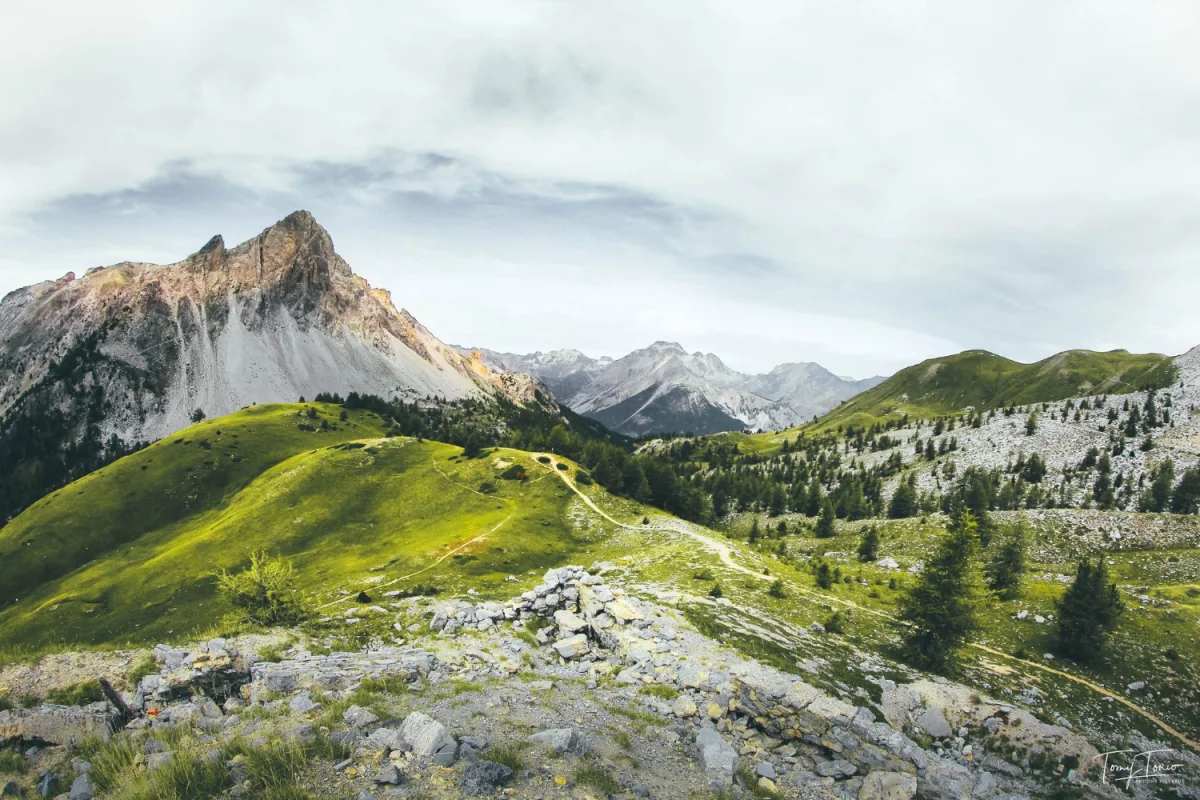 Czy można wykorzystać technologię w niedzielę handlową?