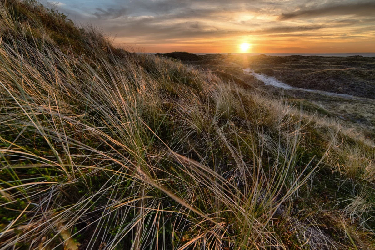 Czy można kupić sprzęt audio rano?
