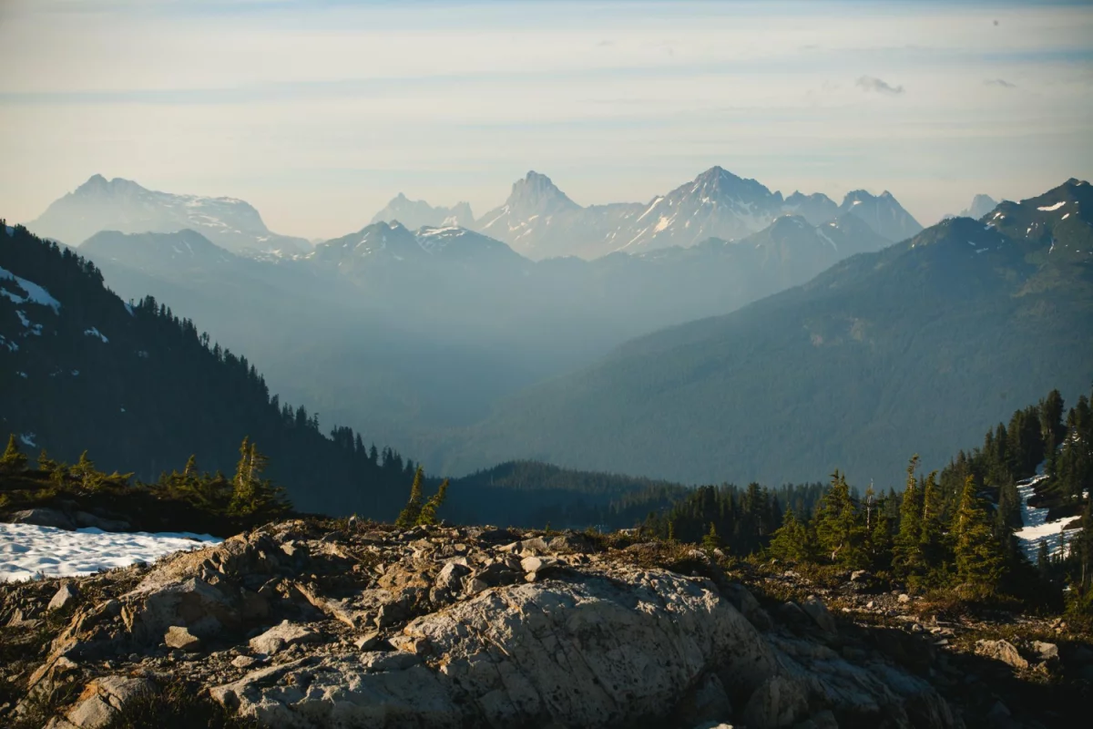 Tylko w tym wpisie dowiesz się jak profesjonalnie wykorzystać technologię